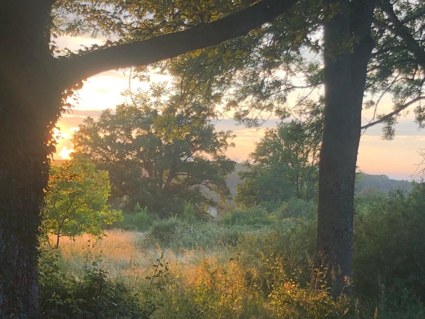 Domaine La Faix, Gite La Chouette Saint-Plaisir Екстериор снимка