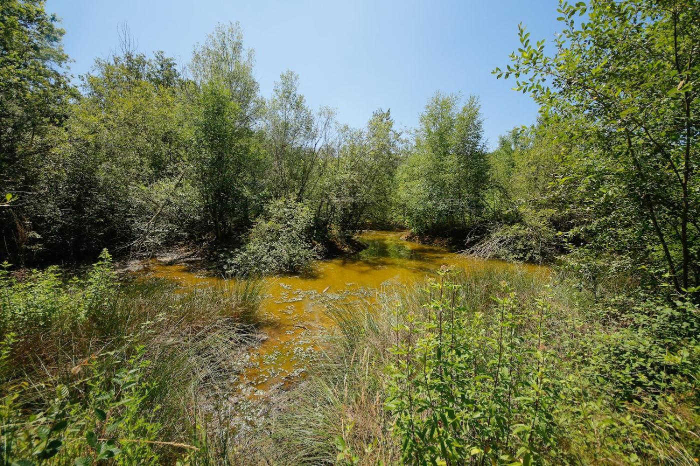 Domaine La Faix, Gite La Chouette Saint-Plaisir Екстериор снимка