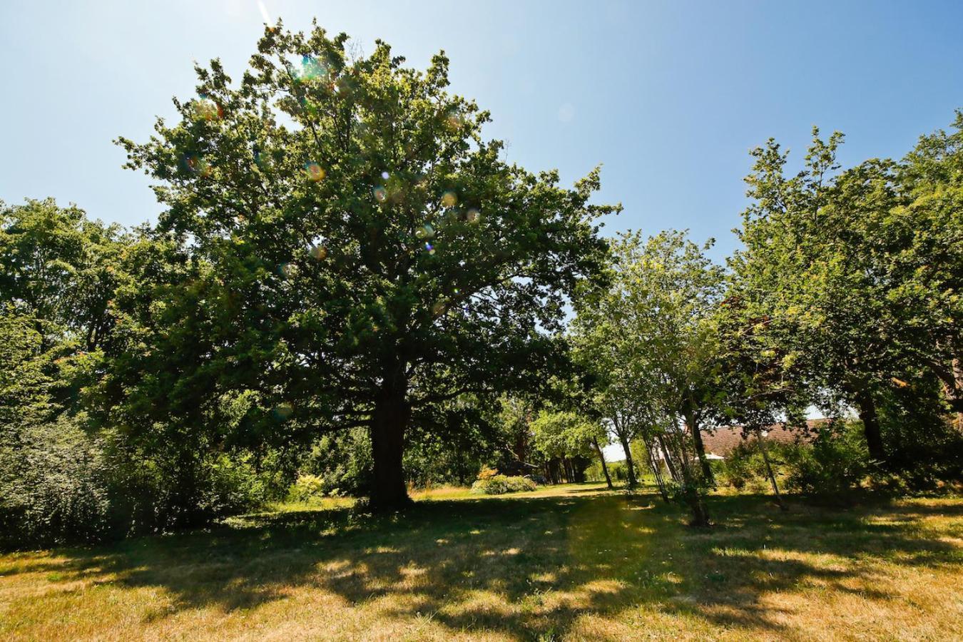 Domaine La Faix, Gite La Chouette Saint-Plaisir Екстериор снимка