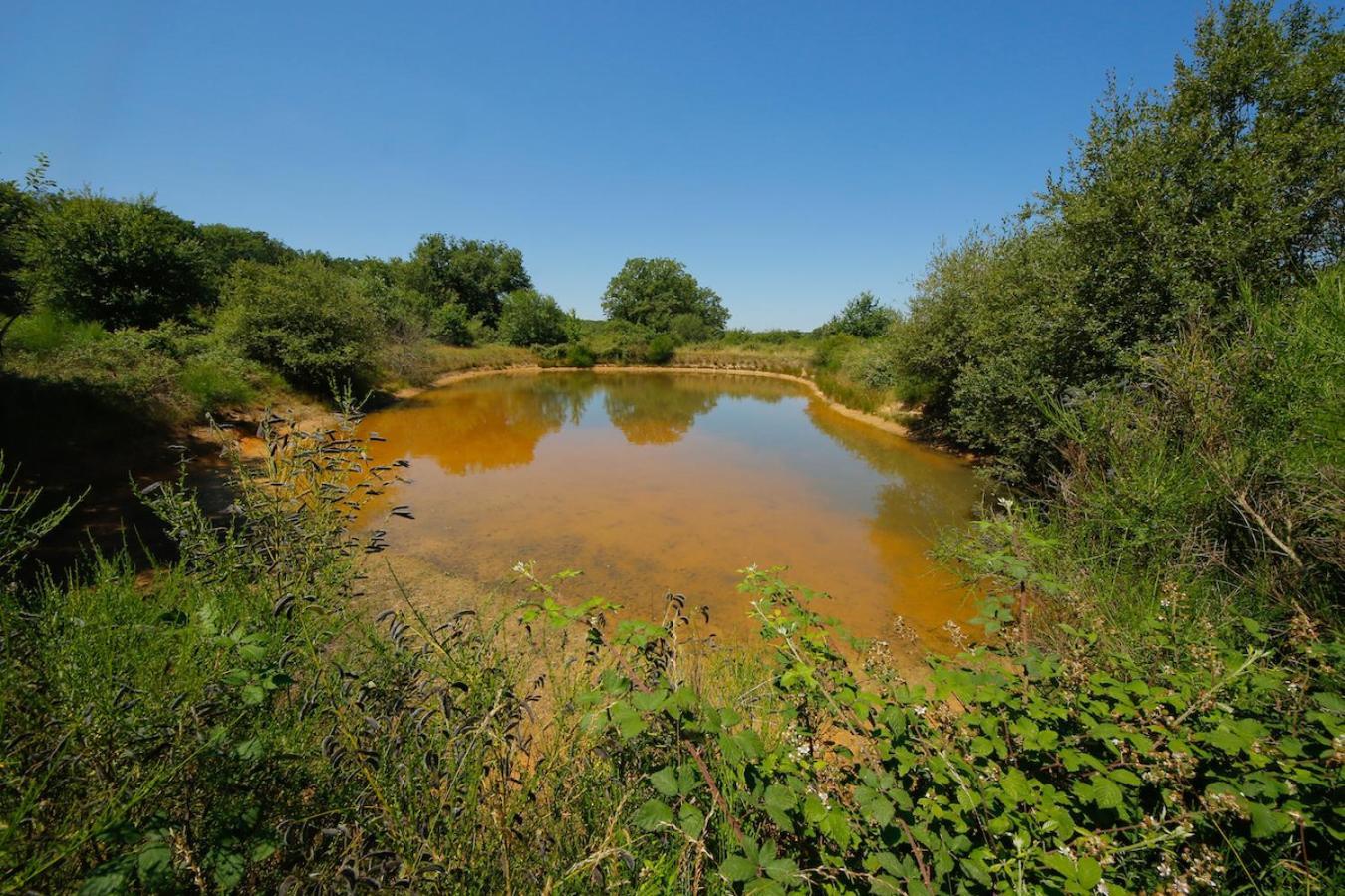Domaine La Faix, Gite La Chouette Saint-Plaisir Екстериор снимка